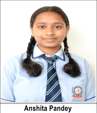 ANSHITA PANDEY