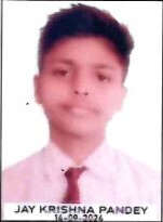 Jay krishna pandey